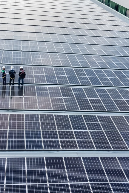 People Standing In Solar Panel Field